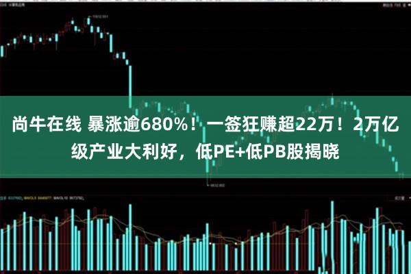 尚牛在线 暴涨逾680%！一签狂赚超22万！2万亿级产业大利好，低PE+低PB股揭晓